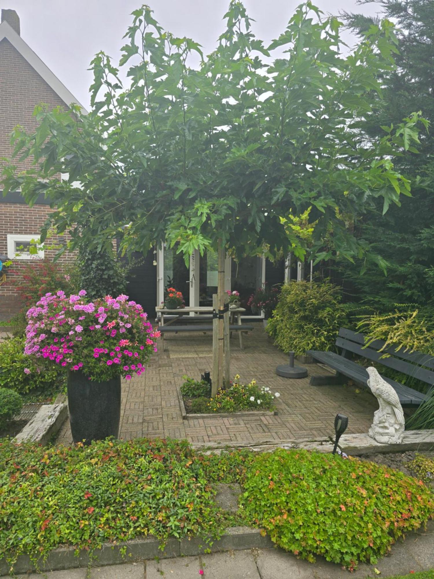 B&B Welkom Zierikzee Exteriér fotografie